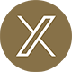 X Logo